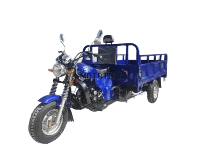 Трицикл грузовой Мотомир AGIAX 1 250 куб. см, ВОЗД.ОХЛ, кузов 2м синий с ПТС