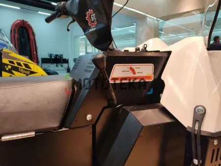 Снегоход БТС Арктик - 4Т Лонг Люкс 20 л.с.. эл. запуск. реверс. тормоз белый (машинокомплект) - купить с доставкой, по выгодной цене в интернет-магазине Мототека