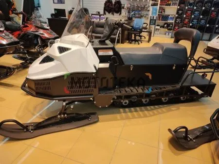 Снегоход БТС Арктик - 4Т Лонг Люкс 20 л.с.. эл. запуск. реверс. тормоз белый (машинокомплект) - купить с доставкой, по выгодной цене в интернет-магазине Мототека