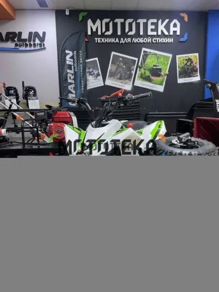 Квадро снегоход детский (снегоцикл) Motax (Мотакс) Gekkon Snow белый/синий (машинокомплект) | Мототека