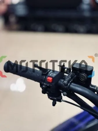 Снегоход IRBIS (Ирбис) TUNGUS (Тунгус) 400 2024 чёрный/синий с ПСМ - купить с доставкой, по выгодной цене в интернет-магазине Мототека