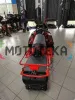 Снегоход IRBIS (Ирбис) SF 200 L Long чёрный/красный с ПСМ - купить с доставкой, по выгодной цене в интернет-магазине Мототека