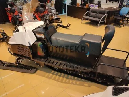 Снегоход БТС Арктик - 4Т Лонг Люкс 20 л.с.. эл. запуск. реверс. тормоз белый (машинокомплект) - купить с доставкой, по выгодной цене в интернет-магазине Мототека