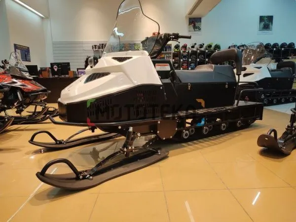 Снегоход БТС Арктик - 4Т Лонг Люкс 20 л.с.. эл. запуск. реверс. тормоз белый (машинокомплект) | Мототека