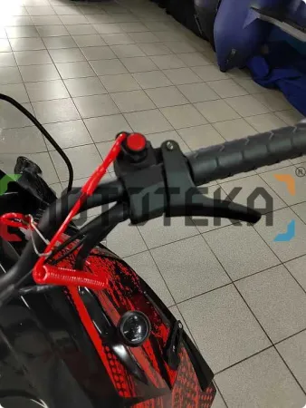 Снегоход IRBIS (Ирбис) SF 200 L Long чёрный/красный с ПСМ - купить с доставкой, по выгодной цене в интернет-магазине Мототека