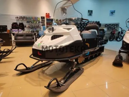 Снегоход БТС Арктик - 4Т Лонг Люкс 20 л.с.. эл. запуск. реверс. тормоз белый (машинокомплект) - купить с доставкой, по выгодной цене в интернет-магазине Мототека