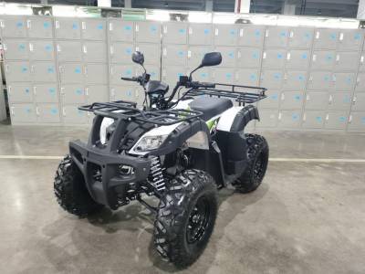 Квадроцикл подростковый Мотомир Jaeger 150 белый/зелёный (машинокомплект) Квадроцикл подростковый Мотомир Jaeger 150 белый/зелёный (машинокомплект)