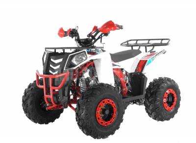 Квадроцикл детский Wels (Велс) Thunder EVO 125 (машинокомплект)