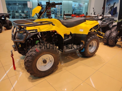 Квадроцикл IRBIS (Ирбис) ATV 200 LUX 2024 желтый с ПСМ фото 33