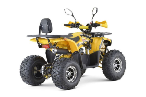 Квадроцикл подростковый FXMOTO (ФХМото) PIKE 150 жёлтый (машинокомплект) фото 3 Квадроцикл подростковый FXMOTO (ФХМото) PIKE 150 жёлтый (машинокомплект) фото 3