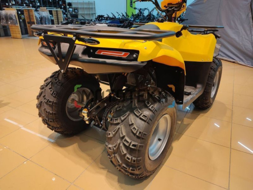 Квадроцикл IRBIS (Ирбис) ATV 200 LUX 2024 желтый с ПСМ фото 28