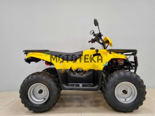 Квадроцикл IRBIS (Ирбис) ATV 200 LUX 2024 желтый с ПСМ фото 7