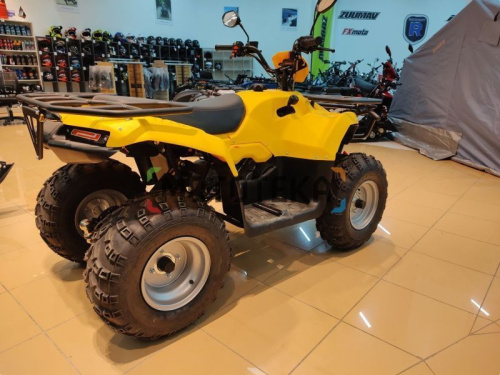 Квадроцикл IRBIS (Ирбис) ATV 200 LUX 2024 желтый с ПСМ фото 27