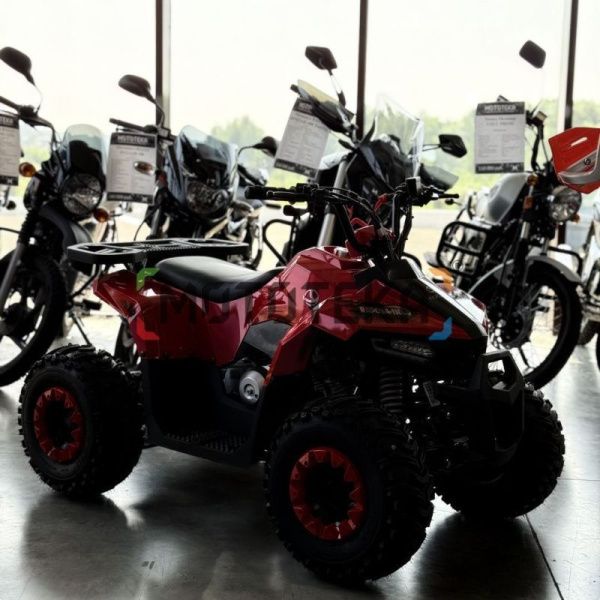 Квадроцикл детский YACOTA (Якота) RAPOSA 110 красный (машинокомплект) | Мототека