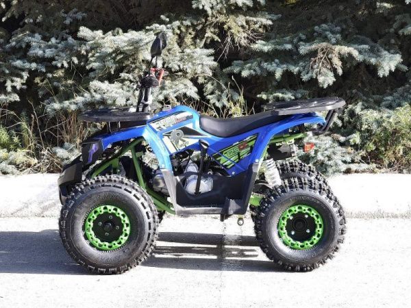 Квадроцикл детский R - MOTO (Р - Мото) Lion 125 A lite синий (машинокомплект) | Мототека