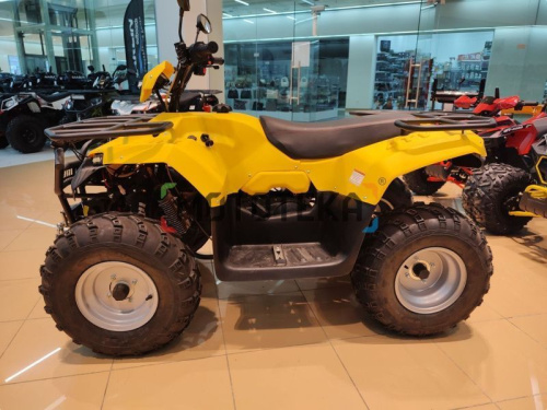 Квадроцикл IRBIS (Ирбис) ATV 200 LUX 2024 желтый с ПСМ фото 32