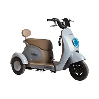 Электротрицикл Rutrike (Рутрайк) Gelbert Ogma 48V/60V 650Вт
