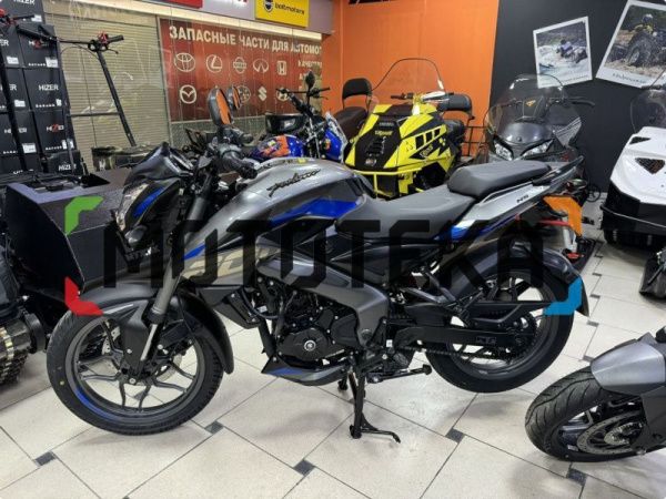 Мотоцикл дорожный BAJAJ (Баджадж) Pulsar NS 200 UG серый с ПТС | Мототека