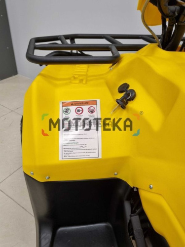 Квадроцикл IRBIS (Ирбис) ATV 200 LUX 2024 желтый с ПСМ фото 13