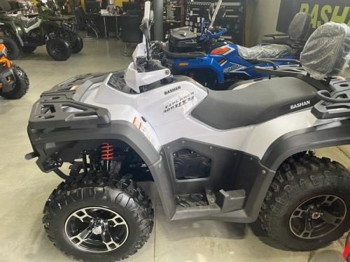 Квадроцикл BASHAN EXPLORER 320 EFI white с ПСМ фото 3