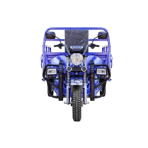 Грузовой электрический трицикл Rutrike (Рутрайк) Эксперт ПРО 2000 фото 3