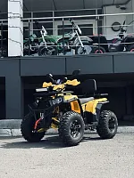 Квадроцикл FXMOTO (ФХМото) WASP 200 LUX жёлтый (машинокомплект)