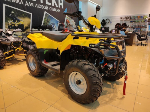 Квадроцикл IRBIS (Ирбис) ATV 200 LUX 2024 желтый с ПСМ фото 25