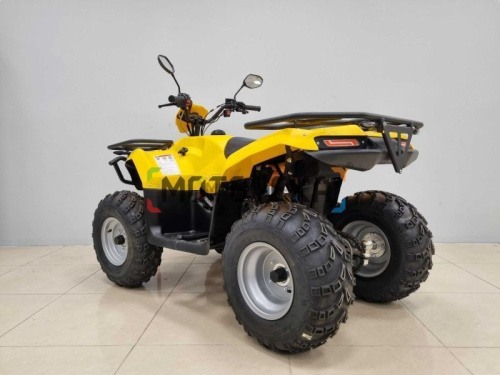 Квадроцикл IRBIS (Ирбис) ATV 200 LUX 2024 желтый с ПСМ фото 4