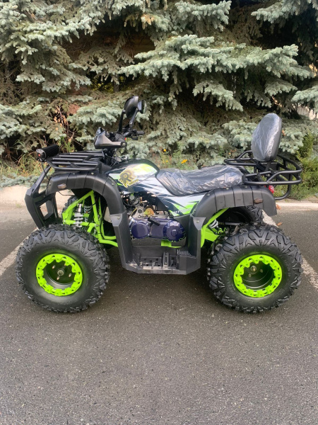 Квадроцикл R - MOTO (Р - Мото) Lion 200 черный (машинокомплект) | Мототека