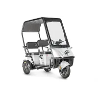 Электротрицикл Wanshida NIPLA 500 60V 1000Вт