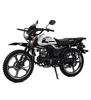 Мопед MotoLand (Мотолэнд) Альфа Forester RS 11 (LM48-B) черный 18/18 (A)
