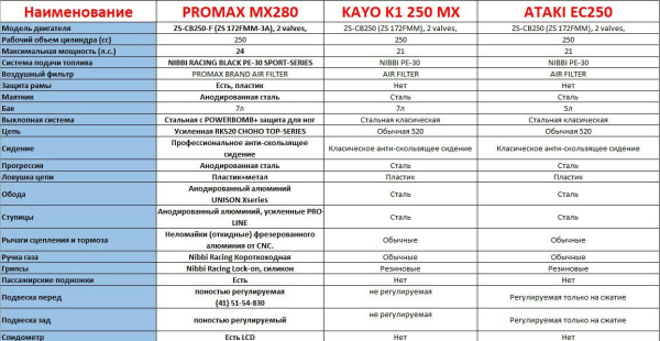 Мотоцикл кроссовый / эндуро Fidelis (Фиделис) Epic PR300 (ZS175FMN) | Мототека