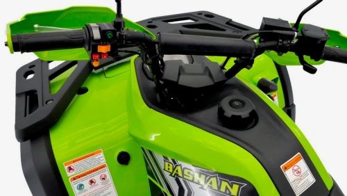 Квадроцикл BASHAN EXPLORER 300 EFI green с ПСМ фото 14