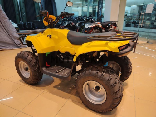 Квадроцикл IRBIS (Ирбис) ATV 200 LUX 2024 желтый с ПСМ фото 31