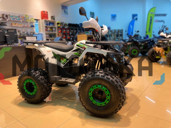Квадроцикл детский R - MOTO (Р - Мото) Lion 125 AR lite белый (машинокомплект) | Мототека