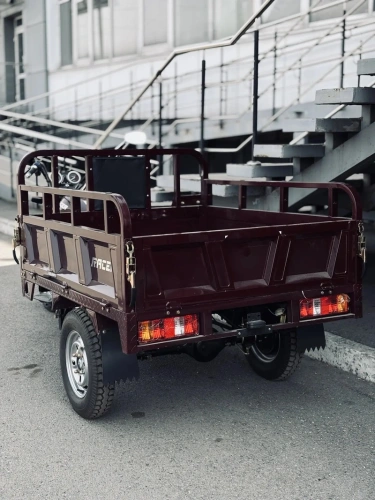 Трицикл грузовой Racer (Рейсер) RC200ZH Muravei с ПСМ фото 6 Трицикл грузовой Racer (Рейсер) RC200ZH Muravei с ПСМ фото 6
