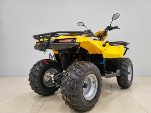 Квадроцикл IRBIS (Ирбис) ATV 200 LUX 2024 желтый с ПСМ фото 6