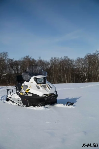 Снегоход Stels (Стелс) ЕРМАК 800L с 2-мя лыжами 2022 с ПСМ | Мототека