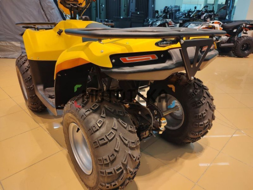 Квадроцикл IRBIS (Ирбис) ATV 200 LUX 2024 желтый с ПСМ фото 30
